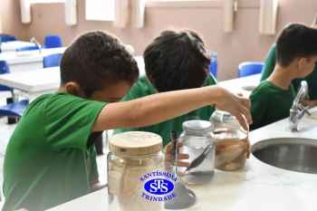 Alunos observam animais e suas características no Laboratório de Ciências
