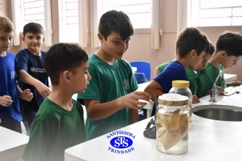 Alunos observam animais e suas características no Laboratório de Ciências
