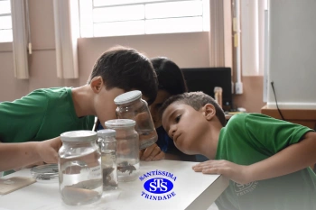 Alunos observam animais e suas características no Laboratório de Ciências