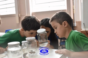 Alunos observam animais e suas características no Laboratório de Ciências