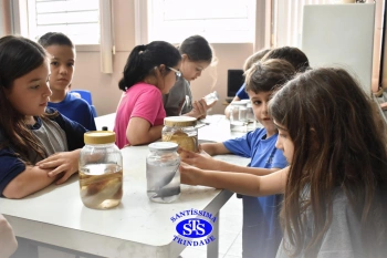 Alunos observam animais e suas características no Laboratório de Ciências
