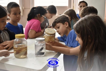 Alunos observam animais e suas características no Laboratório de Ciências