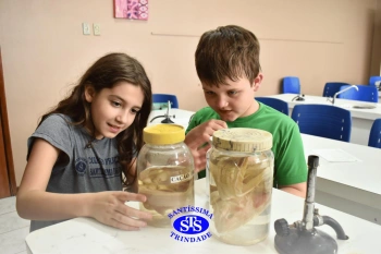 Alunos observam animais e suas características no Laboratório de Ciências