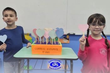 Diferentes recursos no processo de alfabetização do 1º ano 