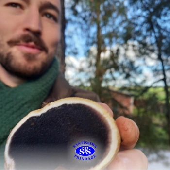 Alunos participam de expedição para estudar fungos no Parque Franciscano | 3ª série