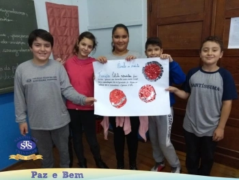 5º ano - Células
