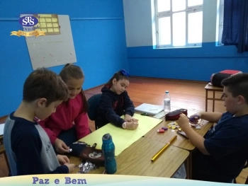 5º ano - Células