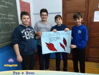5º ano - Células