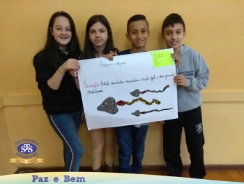 5º ano - Células