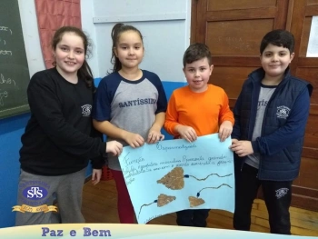 5º ano - Células