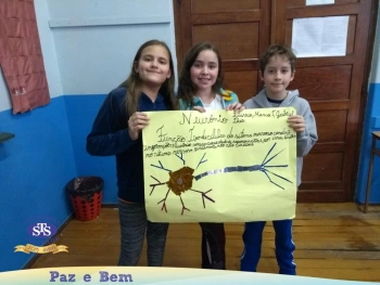 5º ano - Células