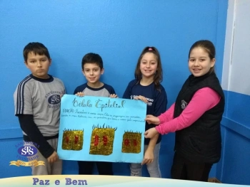 5º ano - Células