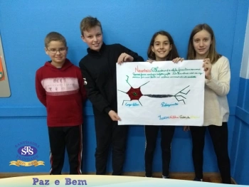 5º ano - Células