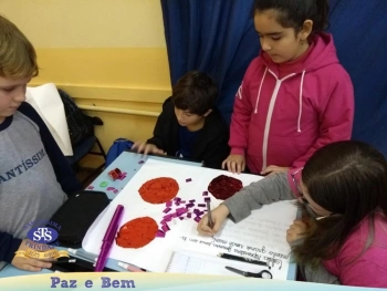 5º ano - Células
