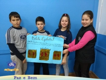 5º ano - Células