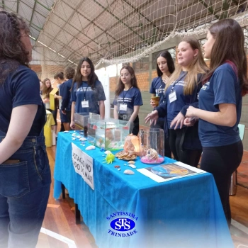 7º ano | Feira de Ciências