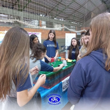 7º ano | Feira de Ciências