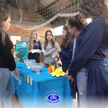 7º ano | Feira de Ciências