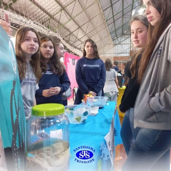 7º ano | Feira de Ciências