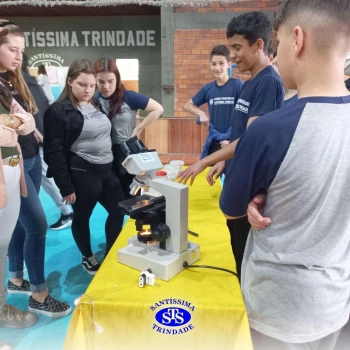 7º ano | Feira de Ciências