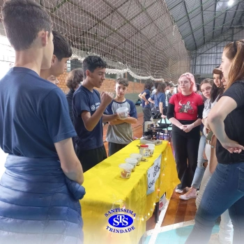 7º ano | Feira de Ciências
