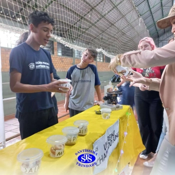 7º ano | Feira de Ciências