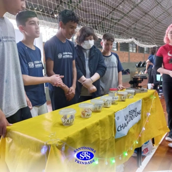 7º ano | Feira de Ciências