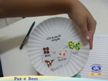 3º ano EF - Dengue