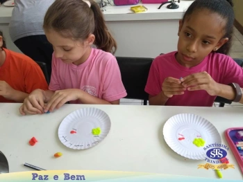 3º ano EF - Dengue