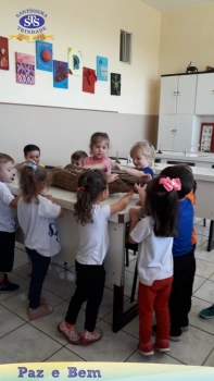 A1 - Laboratório de Ciências