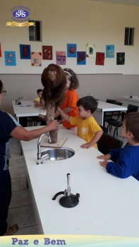 A1 - Laboratório de Ciências