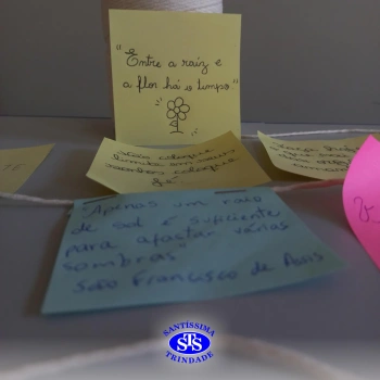 Âncora dos Sentimentos | 1ª série EM
