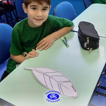 2º ano | Cultura indígena