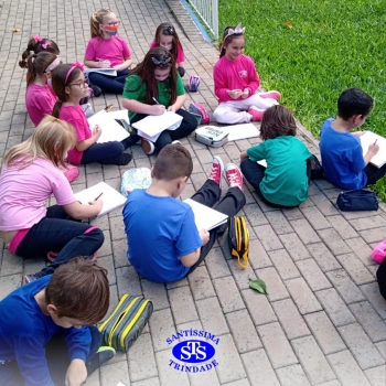 1º ano | Observação Científica