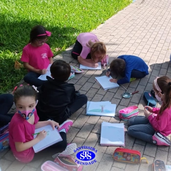 1º ano | Observação Científica