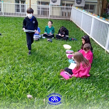 1º ano | Observação Científica