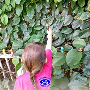1º ano | Observação Científica