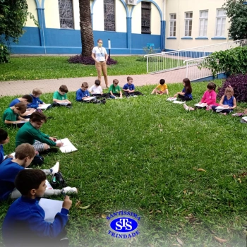1º ano | Observação Científica