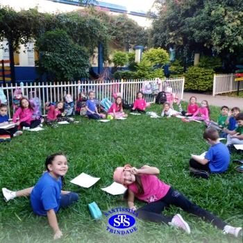 1º ano | Observação Científica