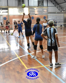 Equipes esportivas iniciam treinos de forma intensa e com determinação