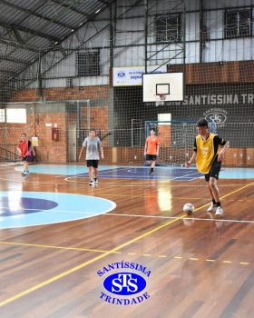Equipes esportivas iniciam treinos de forma intensa e com determinação