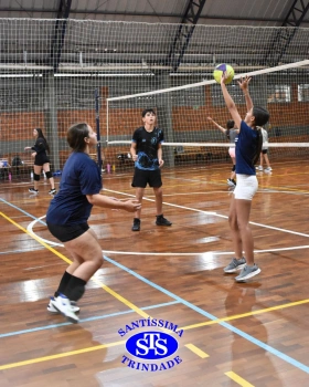 Equipes esportivas iniciam treinos de forma intensa e com determinação