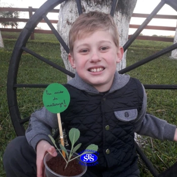 3º ano - aprendendo a cuidar da natureza