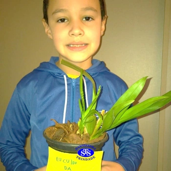 3º ano - aprendendo a cuidar da natureza