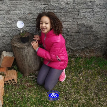 3º ano - aprendendo a cuidar da natureza