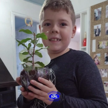 3º ano - aprendendo a cuidar da natureza