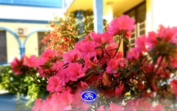Bem-vinda, Primavera!