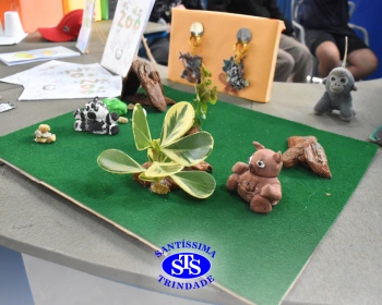 Zoológico Interativo do 7º ano