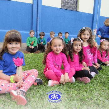 Alunos do Infantil 4 constroem Jardim da Madre Madalena
