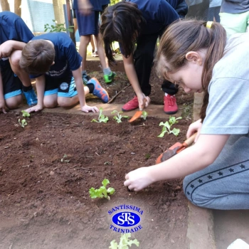 Alunos do 5º ano constroem horta